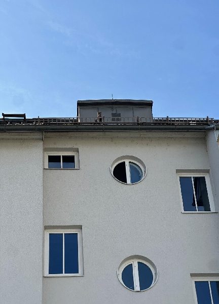 Kater mittels Feuerwehrdrehleiter in Villach gerettet (Bild 1)